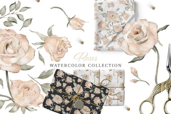 Download Watercolor Modern Roses Collection - Modern Collection